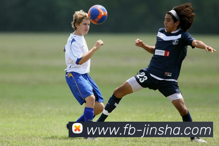 App Interface Preview